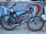 DSC01394.jpg