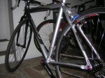 DSCN9250.jpg