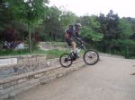 P1010005-5.jpg