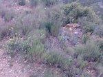 Imagen056.jpg