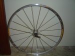 DSC03511.JPG