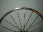DSC03514.JPG
