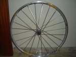 DSC03516.JPG