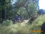romeria 2008 050.jpg