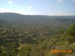 romeria 2008 052.jpg