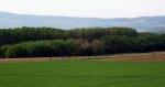 100_3311.JPG
