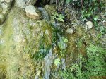DSC00412.jpg