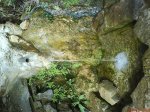 DSC00413.jpg