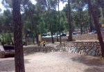 18052008005.jpg