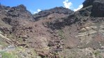 IMG_6785.jpg