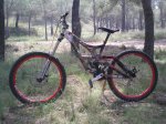 Dani bike (1).JPG