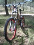 Dani bike (2).JPG
