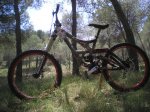 Dani bike (5).JPG