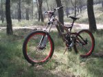 Dani bike (7).JPG
