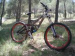 Dani bike (9).JPG