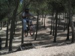 Dani montando (13).JPG