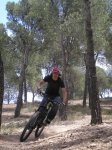 pinaress (6).JPG