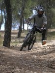 pinaress (7).JPG
