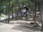 pinaress (9).JPG