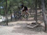 pinaress (10).JPG