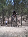 pinaress (13).JPG