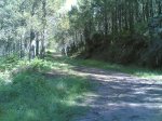 sabado - 17 - 05 - 2008 030.jpg