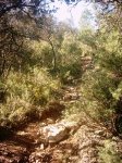 Copia de Imagen 055.jpg