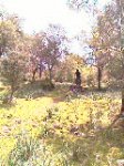 IMAG0159.jpg