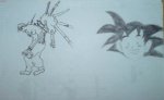 DSC00086.jpg