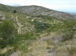 17-05-08 019.jpg