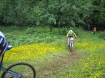 IMG_2929.jpg