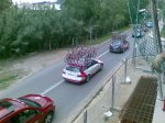 voltacat08 005b.jpg