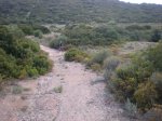 Image00006.jpg