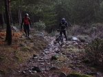 la_pedriza_061.jpg