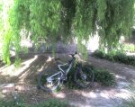 orbea 3.jpg