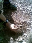 Imagen035.jpg