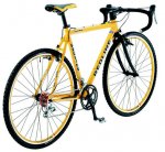 yellowbike1.jpg