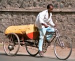 yellowbike6.jpg