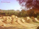 DSC09139.jpg