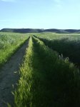 DSC00030.jpg