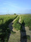 DSC00036.jpg