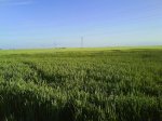 DSC00037.jpg