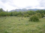 Foto73.JPG