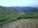 DSC00437.jpg