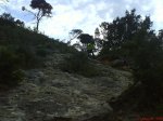 DSC00439.jpg