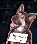 feliking.jpg