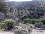 12052008015.jpg