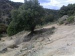 12052008016.jpg