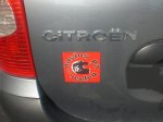 CIMG3342.JPG