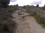 12052008038.jpg